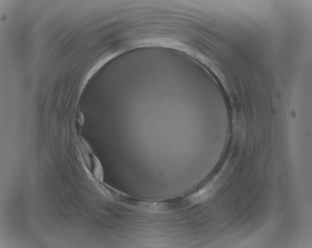 X0000084601529200703091916