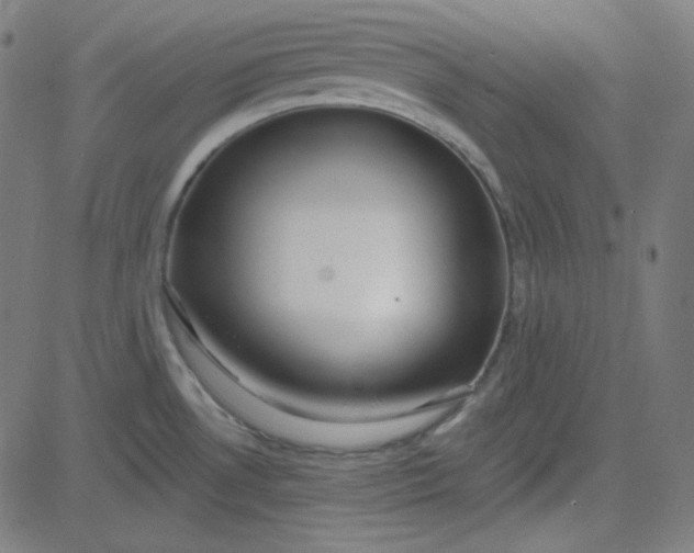 X0000084601530200703091916