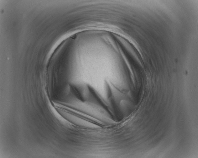 X0000084601531200703091916