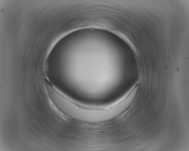 X0000084601532200703091916