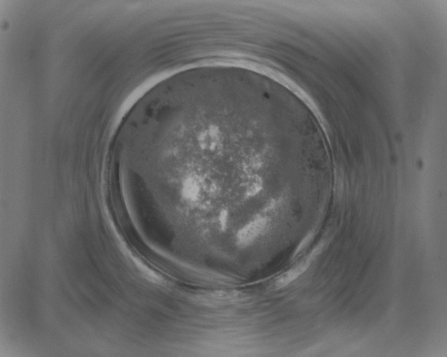 X0000084601533200703091916