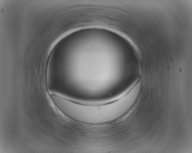 X0000084601534200703091916