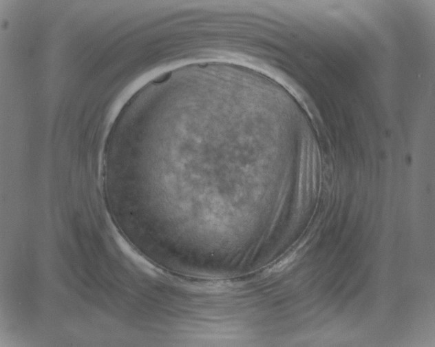 X0000084601535200703091916