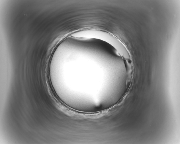 X0000084600001200703161827