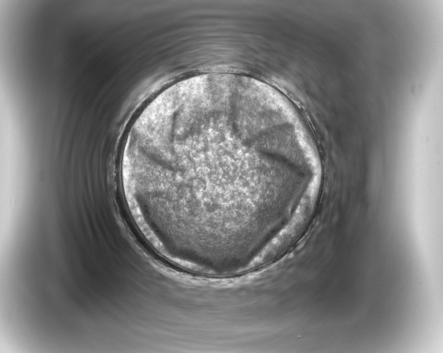 X0000084600002200703161827