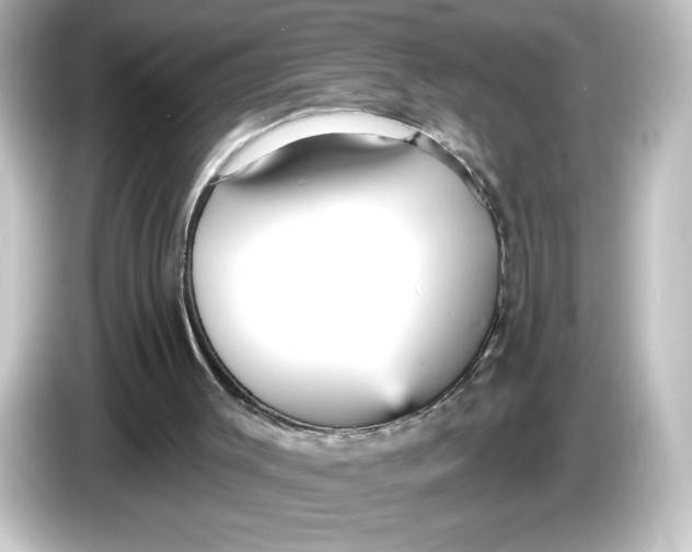 X0000084600003200703161827