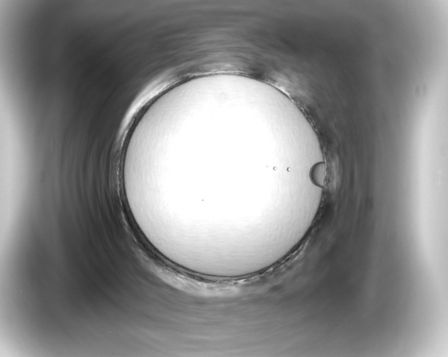 X0000084600004200703161827