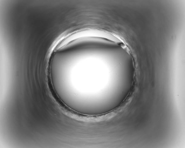 X0000084600007200703161827