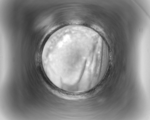 X0000084600012200703161827