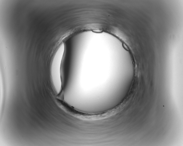 X0000084600013200703161827