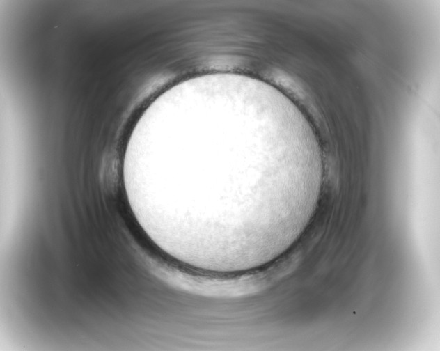 X0000084600016200703161826