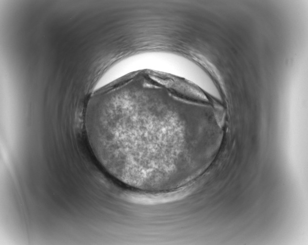 X0000084600017200703161826