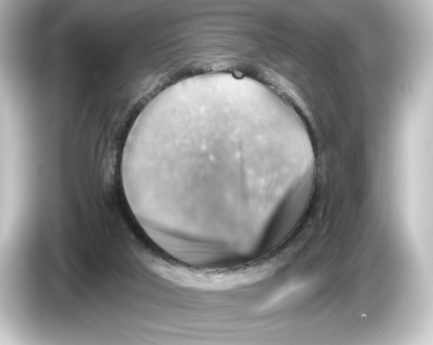 X0000084600018200703161826