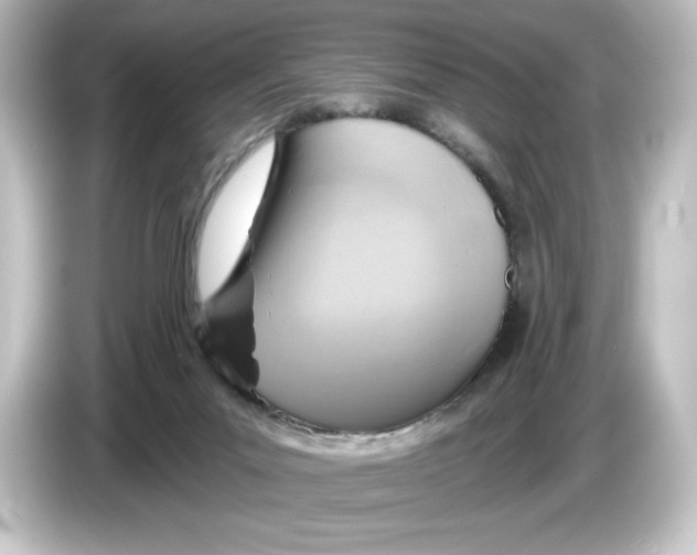 X0000084600023200703161826