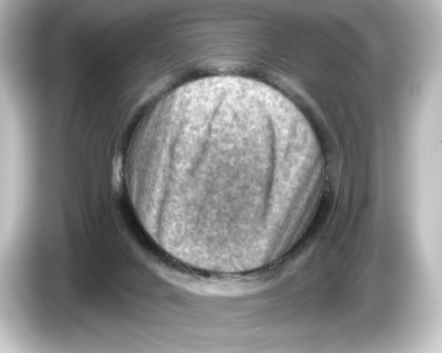 X0000084600024200703161826