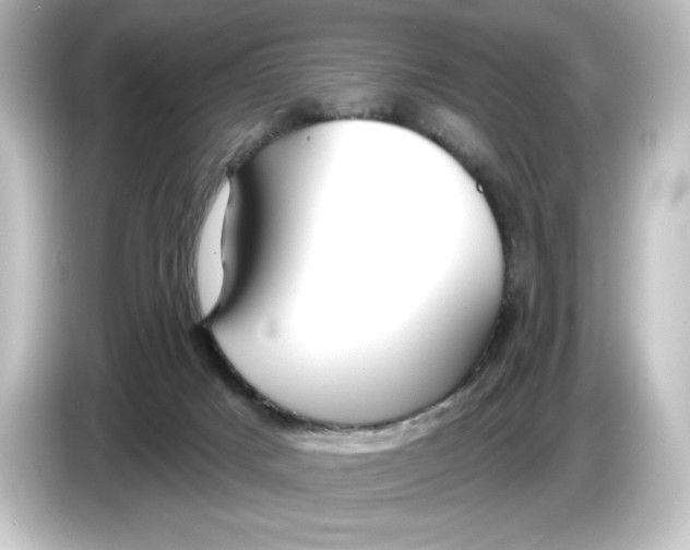 X0000084600025200703161826