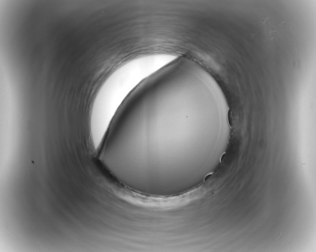 X0000084600027200703161826