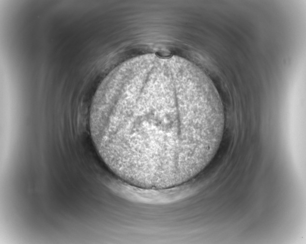 X0000084600030200703161826