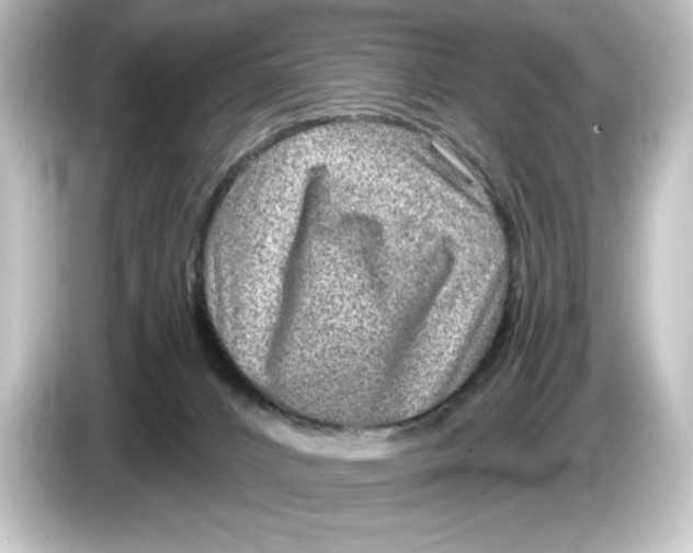 X0000084600032200703161826