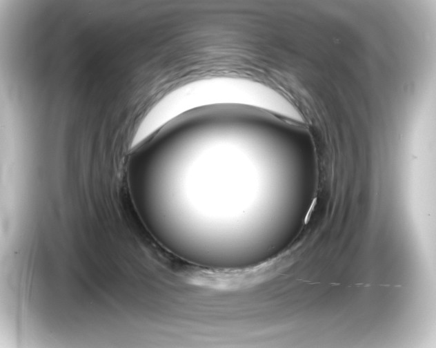 X0000084600033200703161826