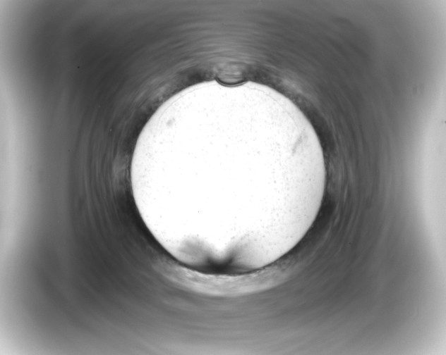 X0000084600034200703161826