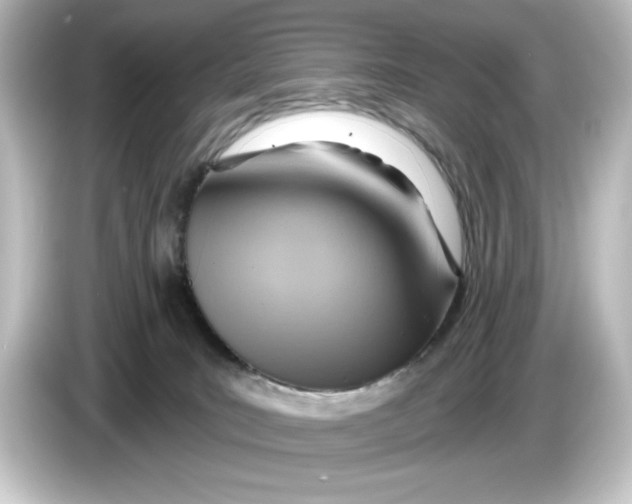 X0000084600035200703161826