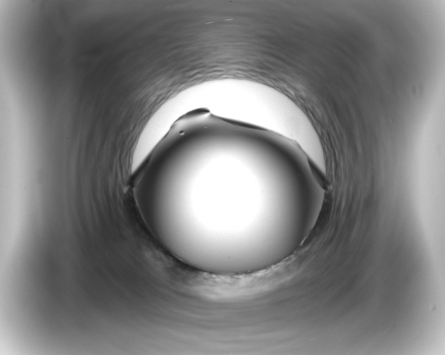 X0000084600037200703161826