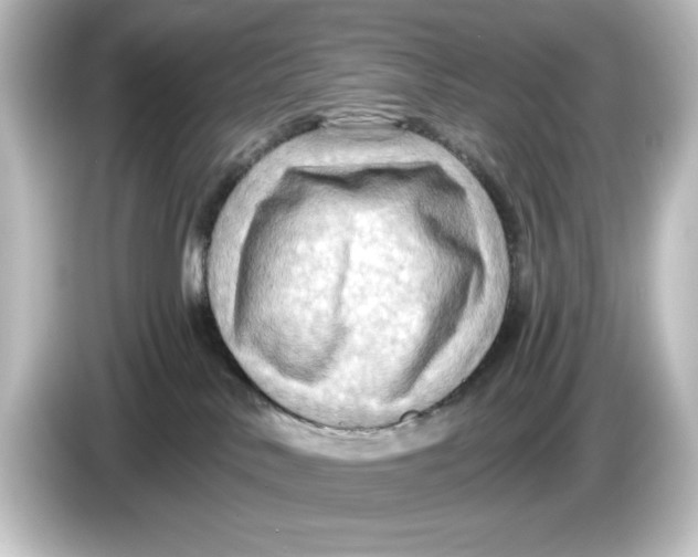 X0000084600042200703161826