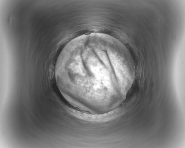 X0000084600043200703161826