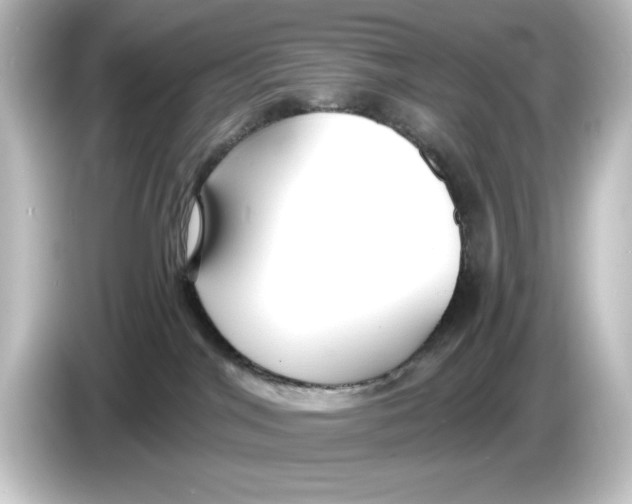 X0000084600044200703161826