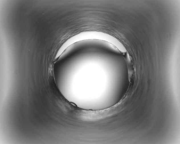 X0000084600045200703161826