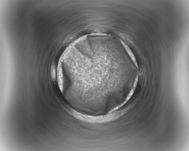 X0000084600046200703161826