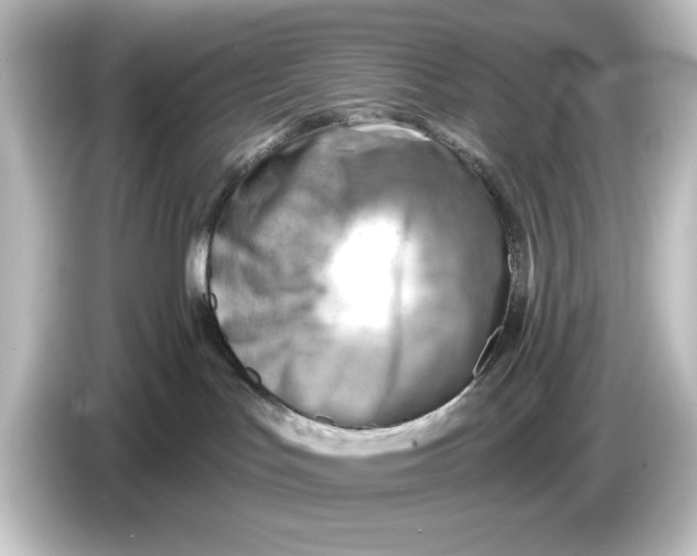 X0000084600047200703161826