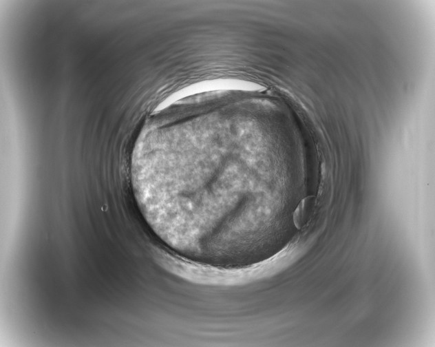 X0000084600048200703161826