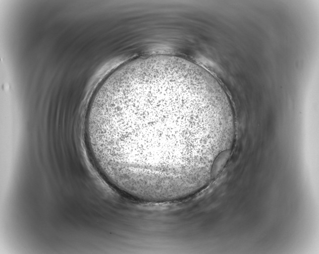 X0000084600049200703161826