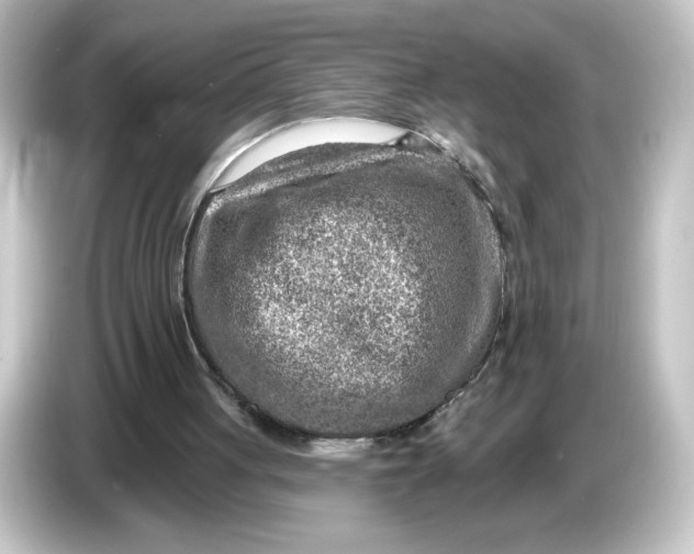 X0000084600051200703161826