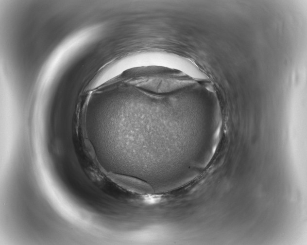 X0000084600052200703161826