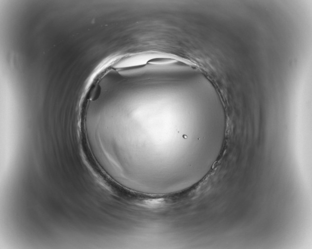 X0000084600054200703161826