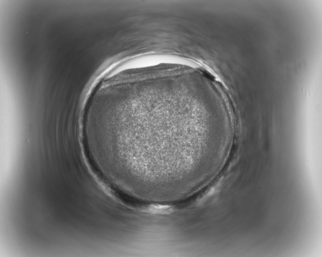 X0000084600055200703161826