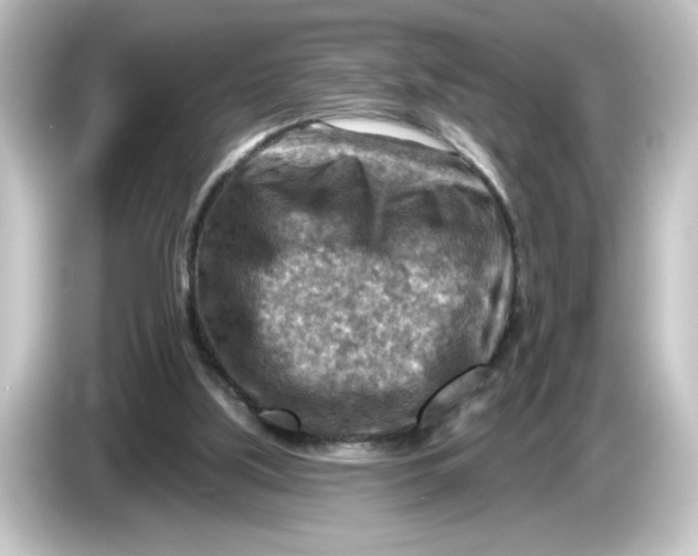 X0000084600059200703161826