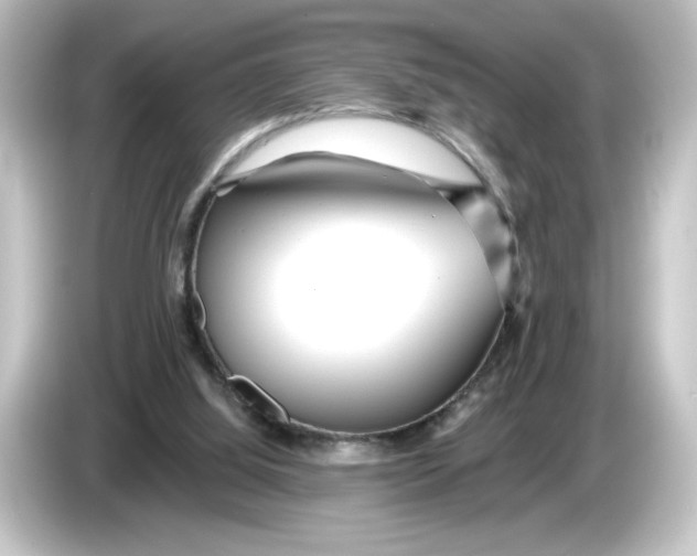 X0000084600060200703161826