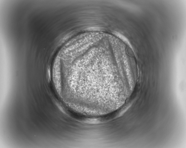 X0000084600061200703161826