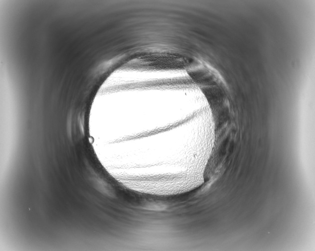 X0000084600062200703161826