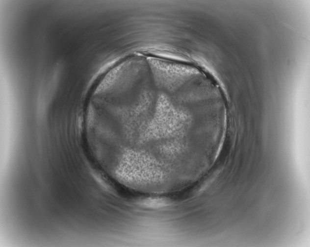 X0000084600063200703161826