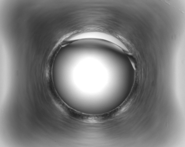 X0000084600064200703161826