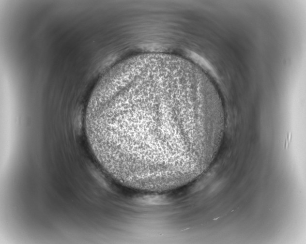 X0000084600065200703161826