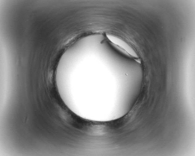 X0000084600066200703161826