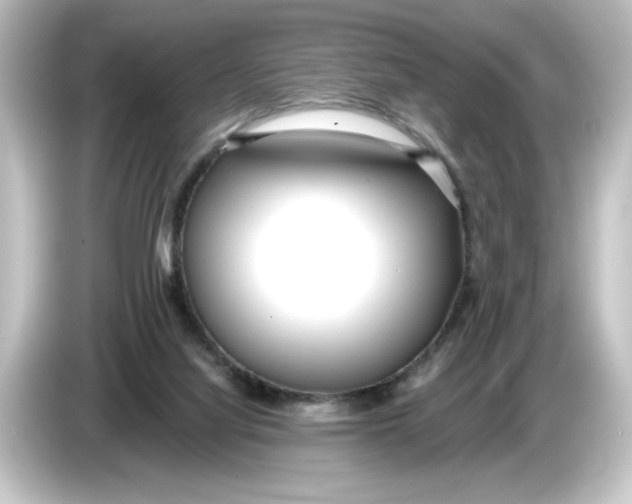 X0000084600068200703161826