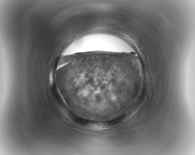 X0000084600069200703161826