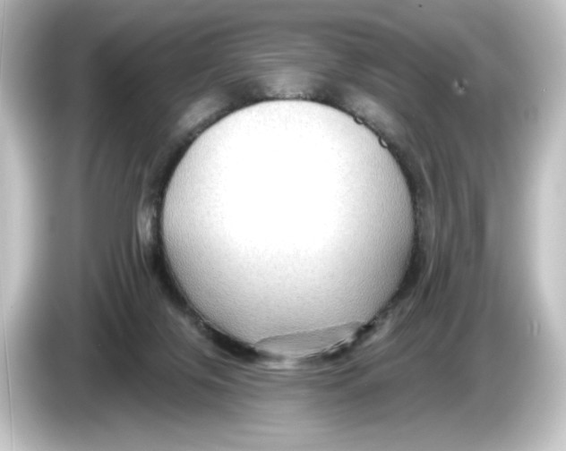 X0000084600071200703161826